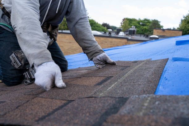 Best Roofing Contractor Near Me  in Rossville, GA