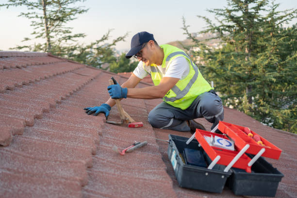 Roof Gutter Cleaning in Rossville, GA