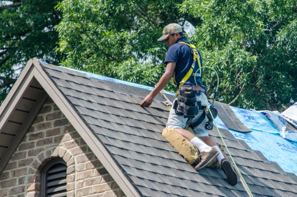 Best Roof Leak Repair  in Rossville, GA